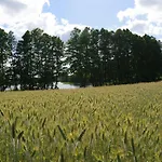 Kaszubska Zagroda Lodge Lipuska Huta