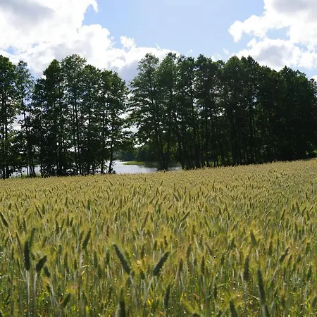 Kaszubska Zagroda ロッジ Lipuska Huta