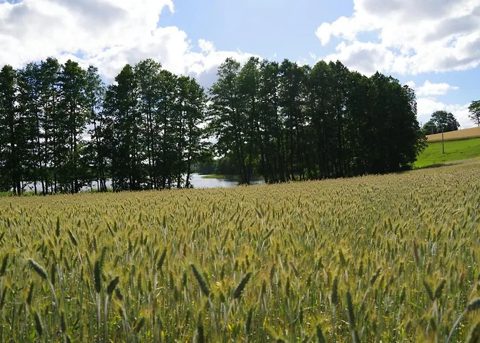 Kaszubska Zagroda Jaktstuga Lipuska Huta